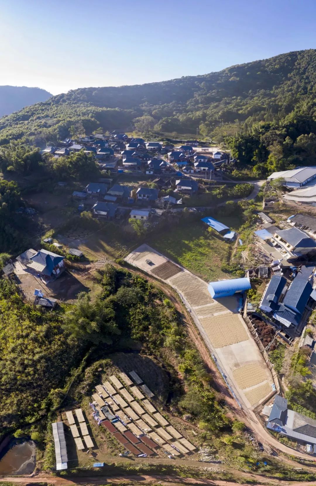 Why does Katim Coffee have a devilish ending rhyme?Is Yunnan Katim