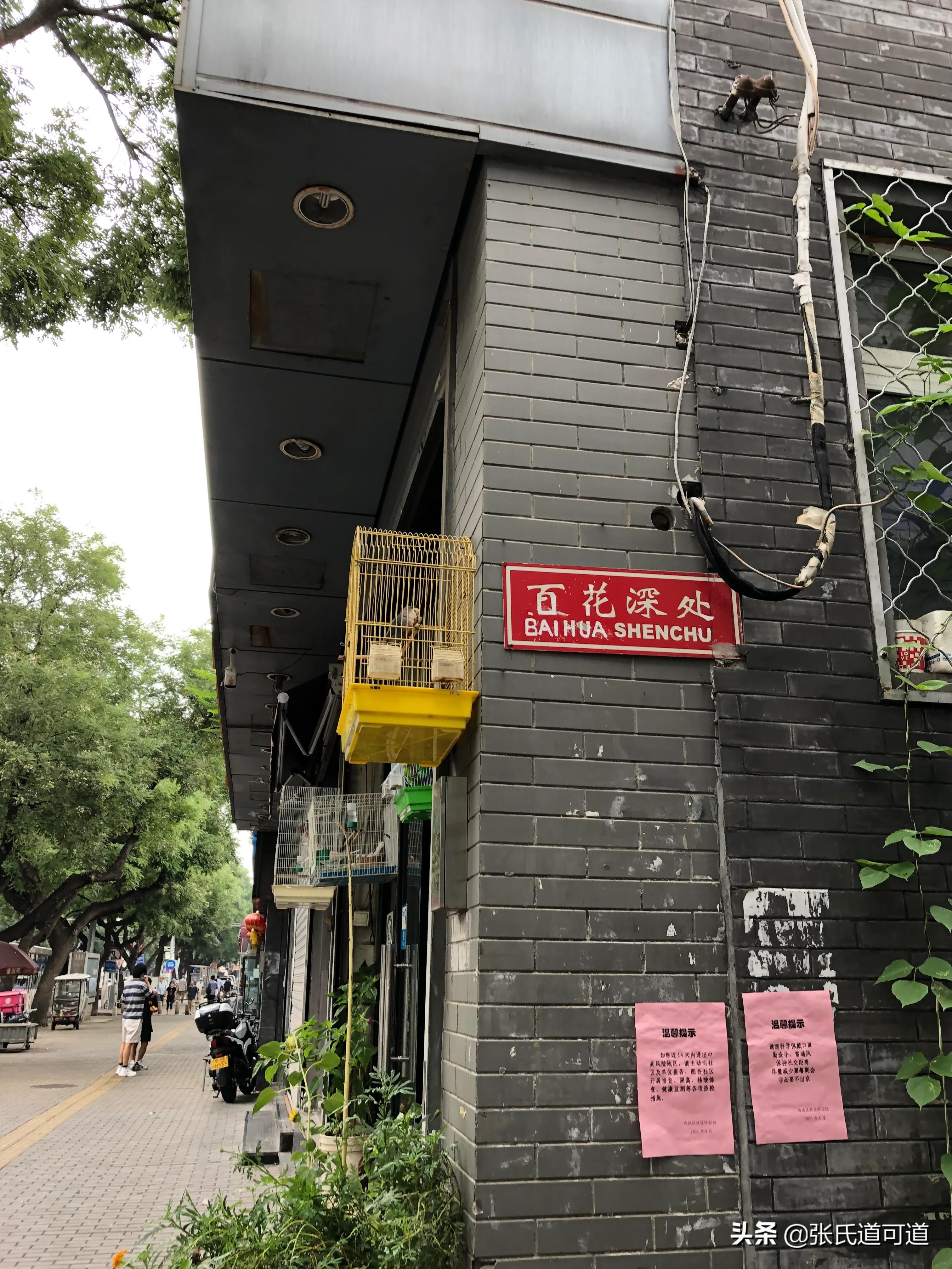新街口访古 资讯咖