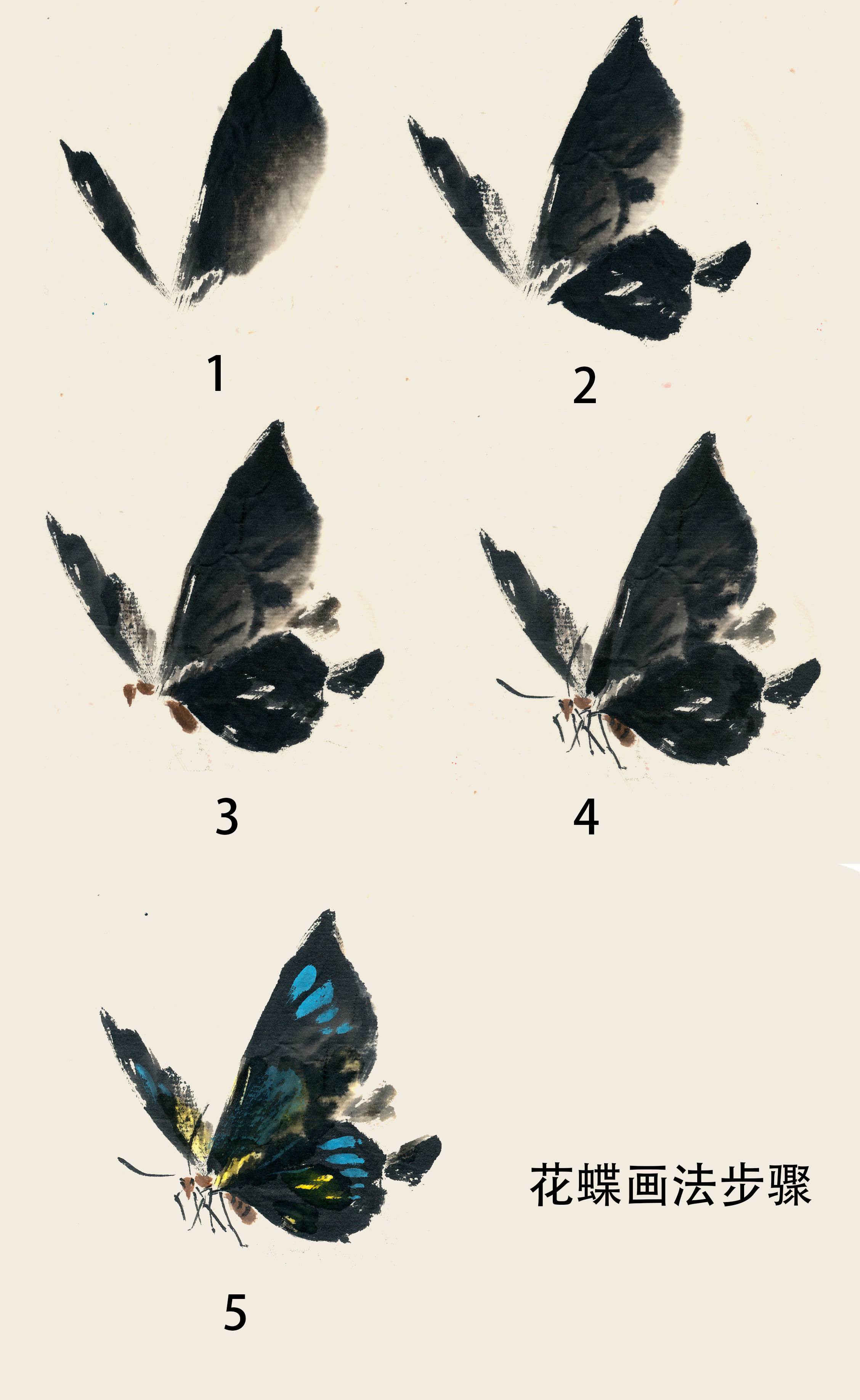 传移模写:蝴蝶画法- MP头条