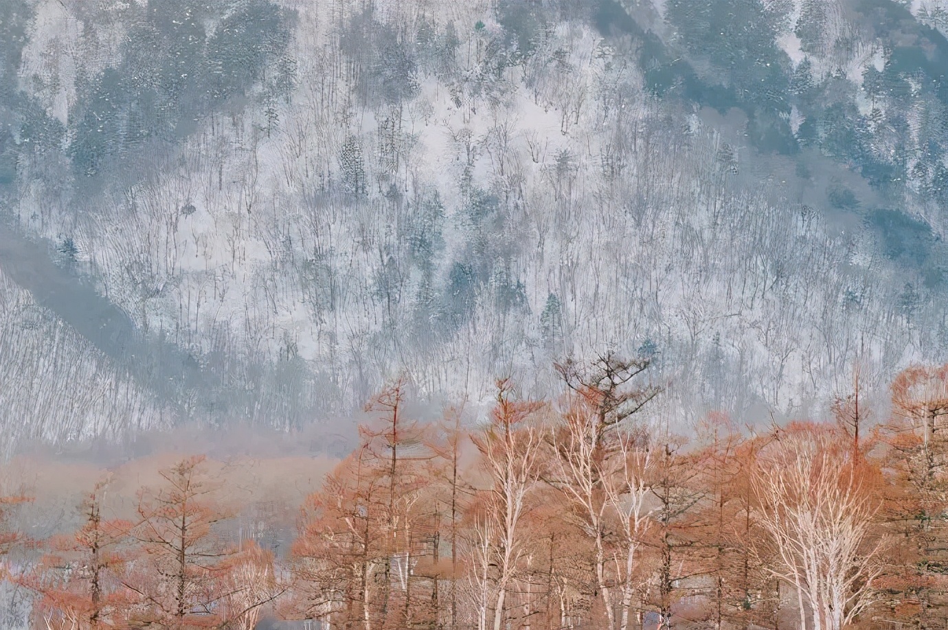 日本俳句中的季語 浪漫到極致 Mp頭條