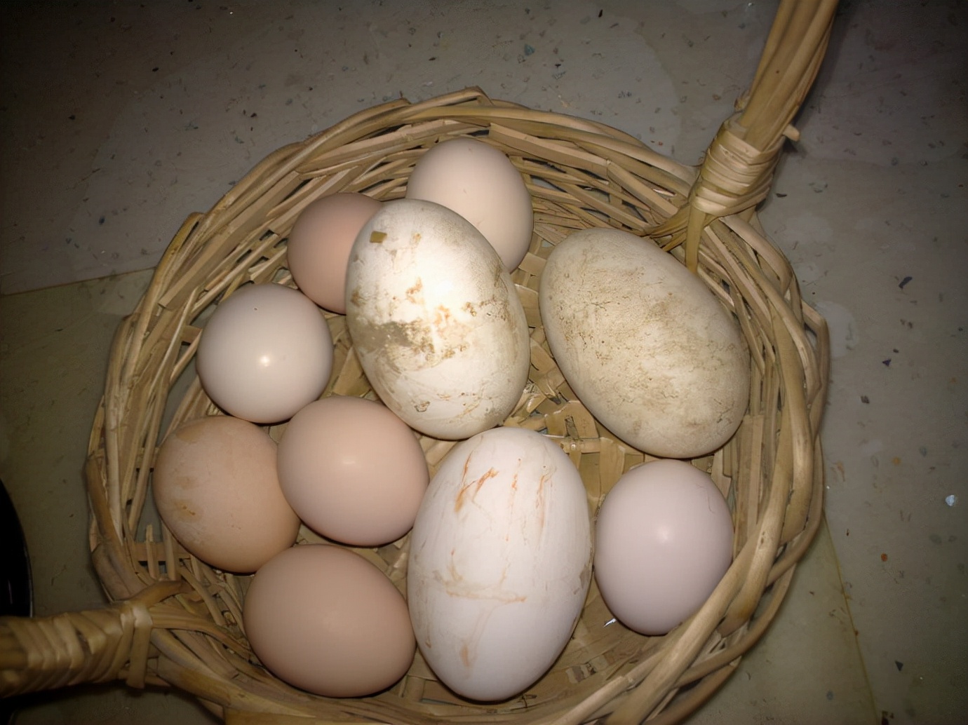 What are the benefits of eating goose eggs for pregnant women? iMedia