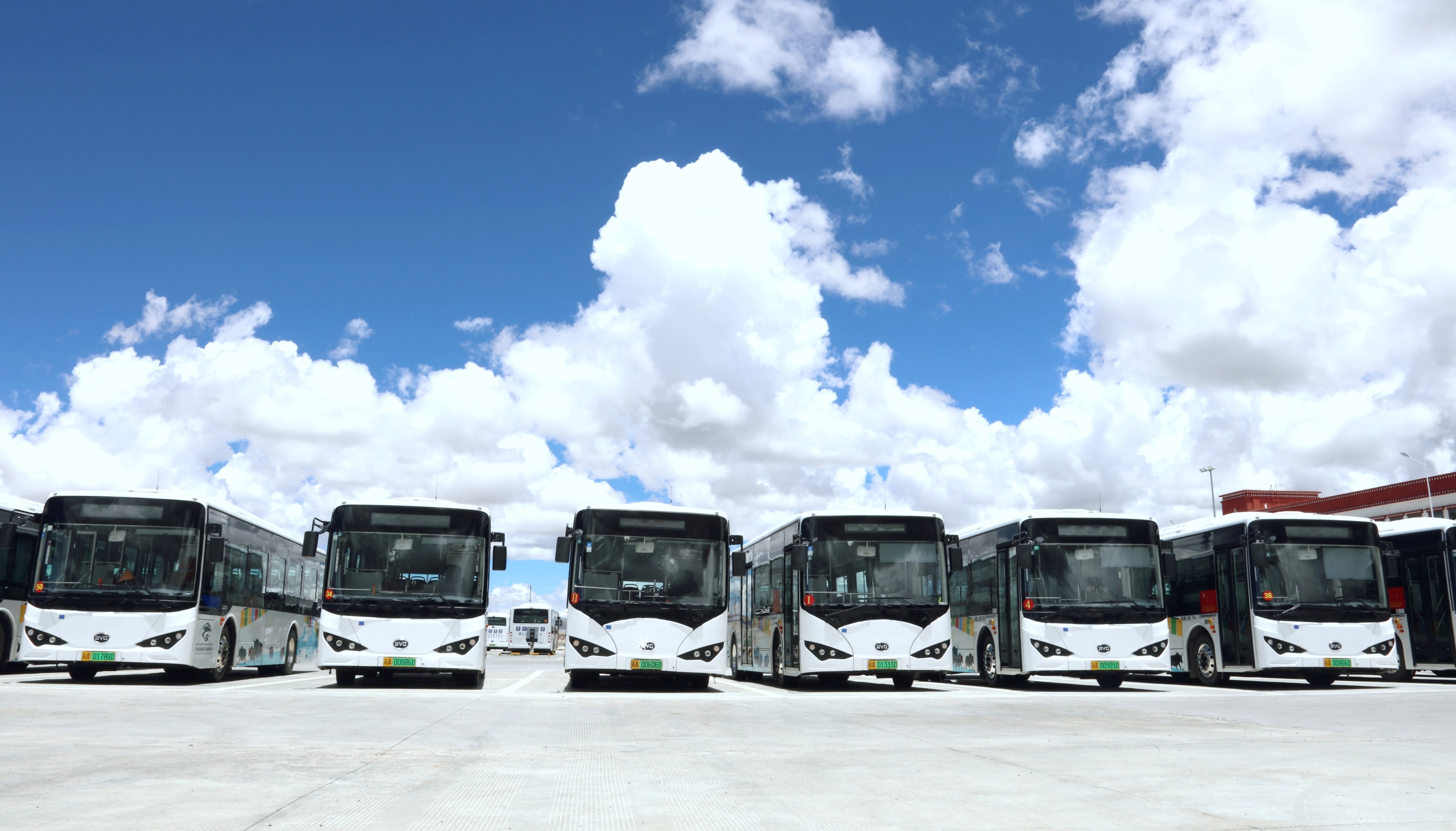 BYD builds the No. 1 brand of pure electric buses in Tibet Plateau - iMedia