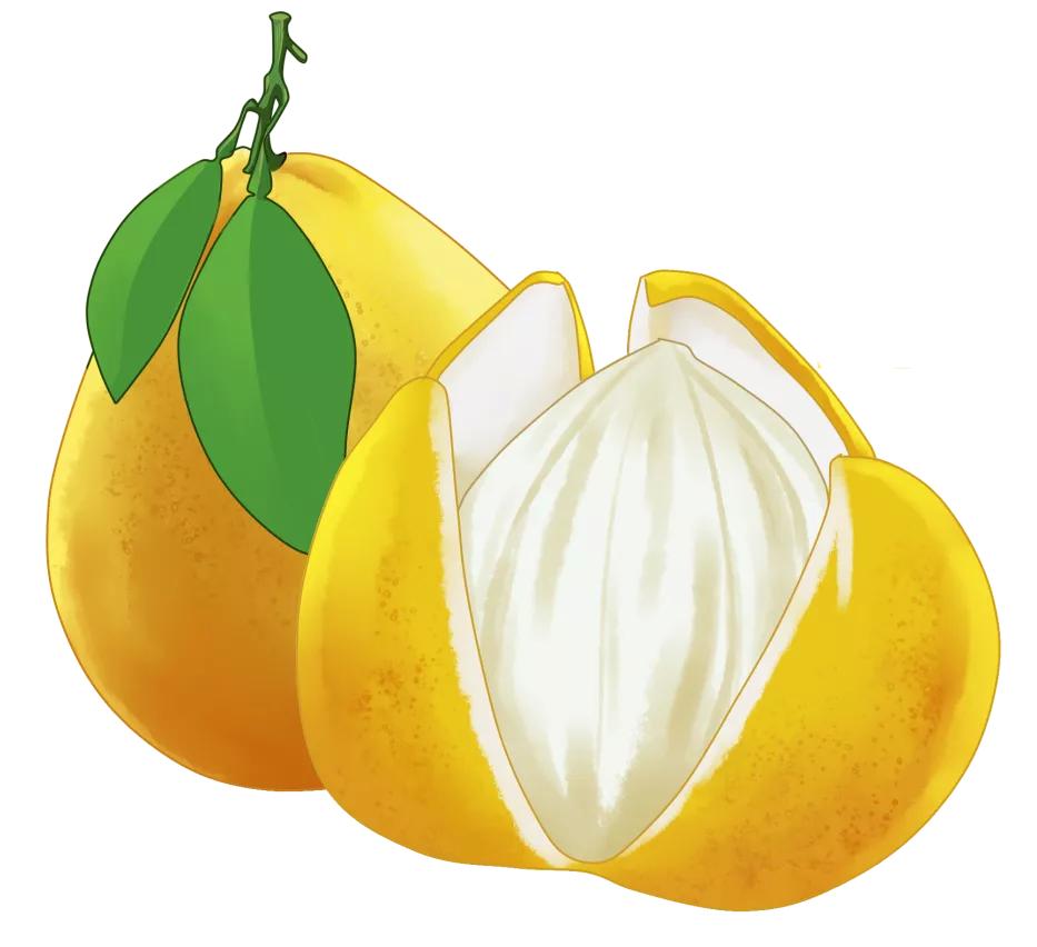 Red Heart Pomelo VS White Heart Pomelo, which is better?How to choose