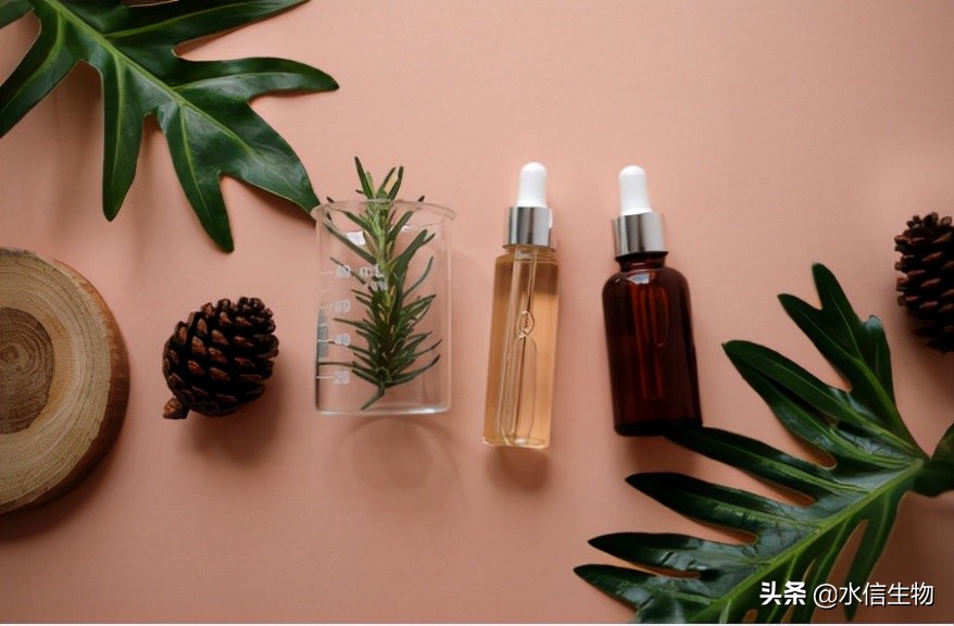 Efficacy skin care has a new trend in beauty consumption iMedia