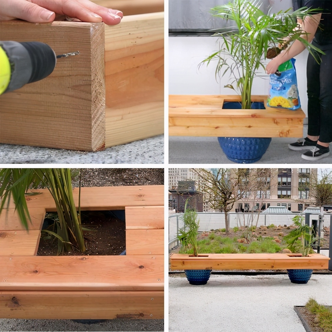 我要有个庭院 也学他自制花坛卡座 一边喝茶落座 一边养花种菜 资讯咖