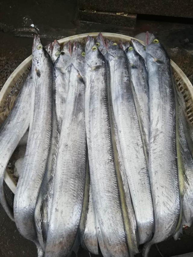 These 4 kinds of fish eat as little as possible, or contain