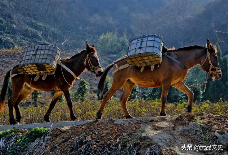 As the saying goes "Donkey meat is fragrant, horse meat is smelly, and