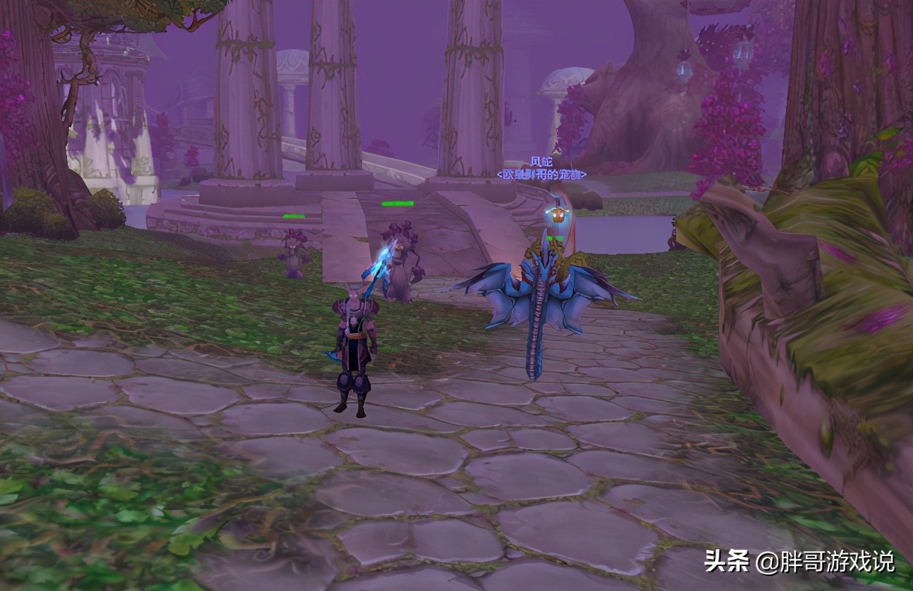 Warcraft TBC T5 hunter pet plus points plan, select skills for the