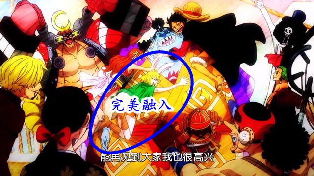 11th member of the Straw Hat Pirates 