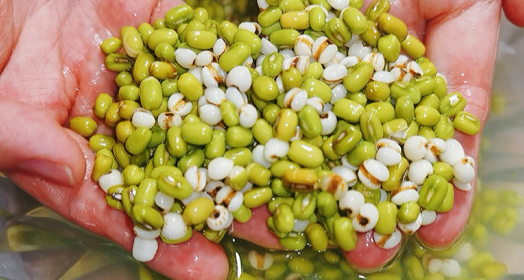 The porridge that is suitable for dog days, I have been drinking it