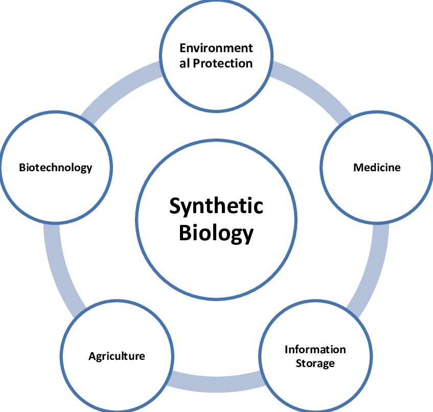 Synthetic Biology, The Subversive Power Of The New Biology Century (3 ...