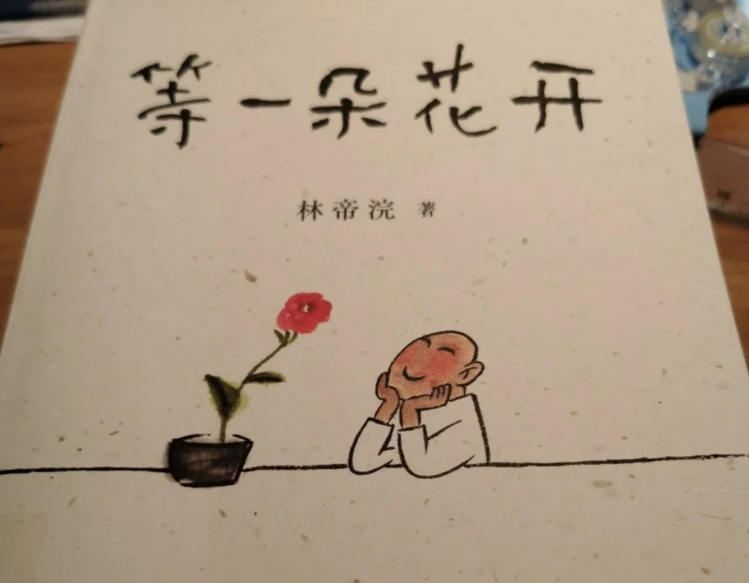 等一朵花开 超治愈的一本书 值得你拥有 资讯咖