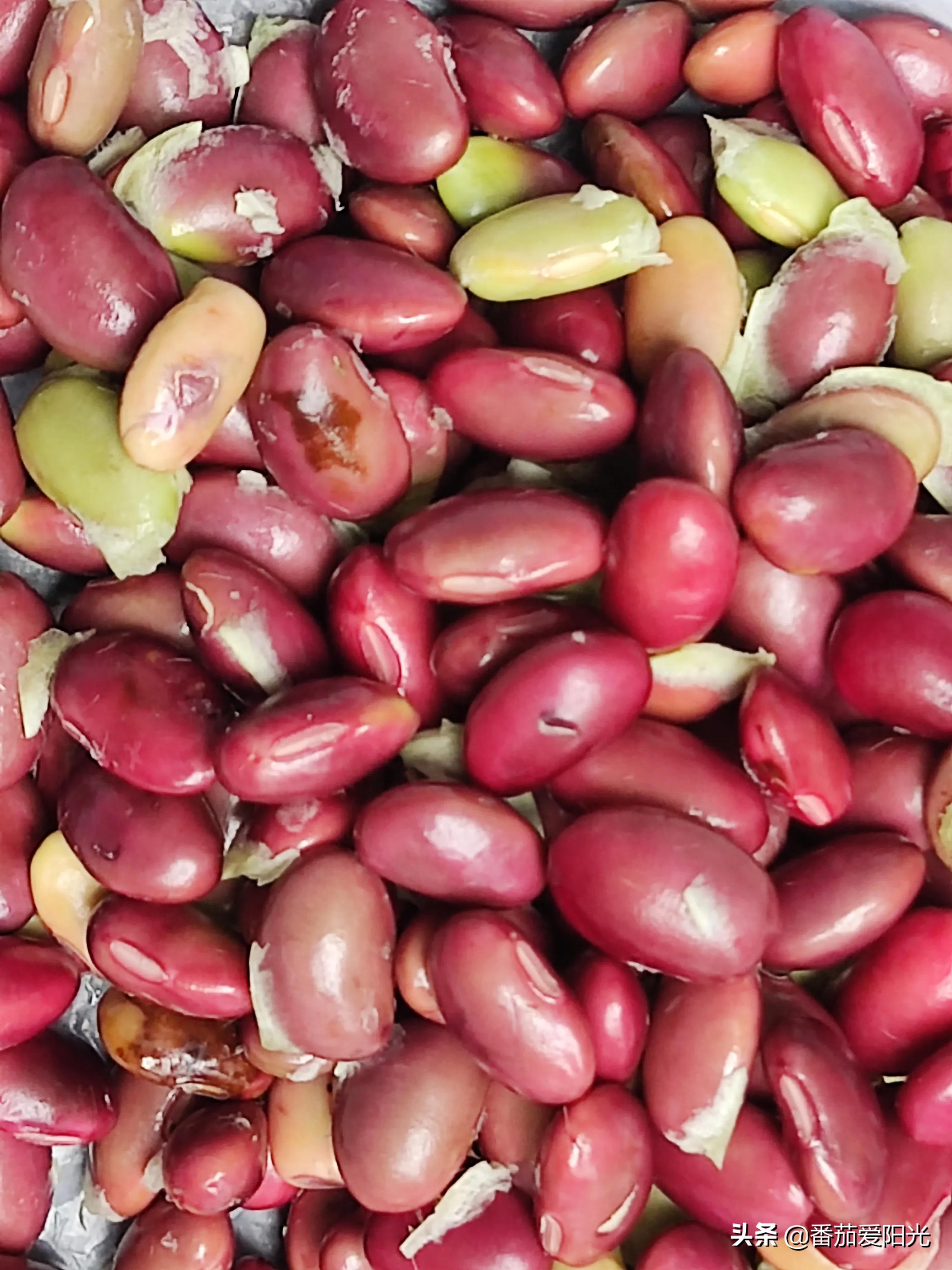 Green core, red skin, does it mean that Acacia red beans grow in the ...