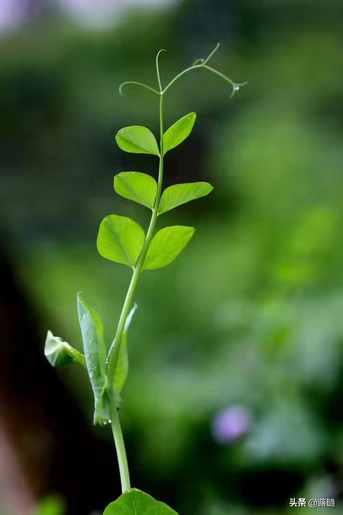 空纳万物 万物皆空 Mp头条