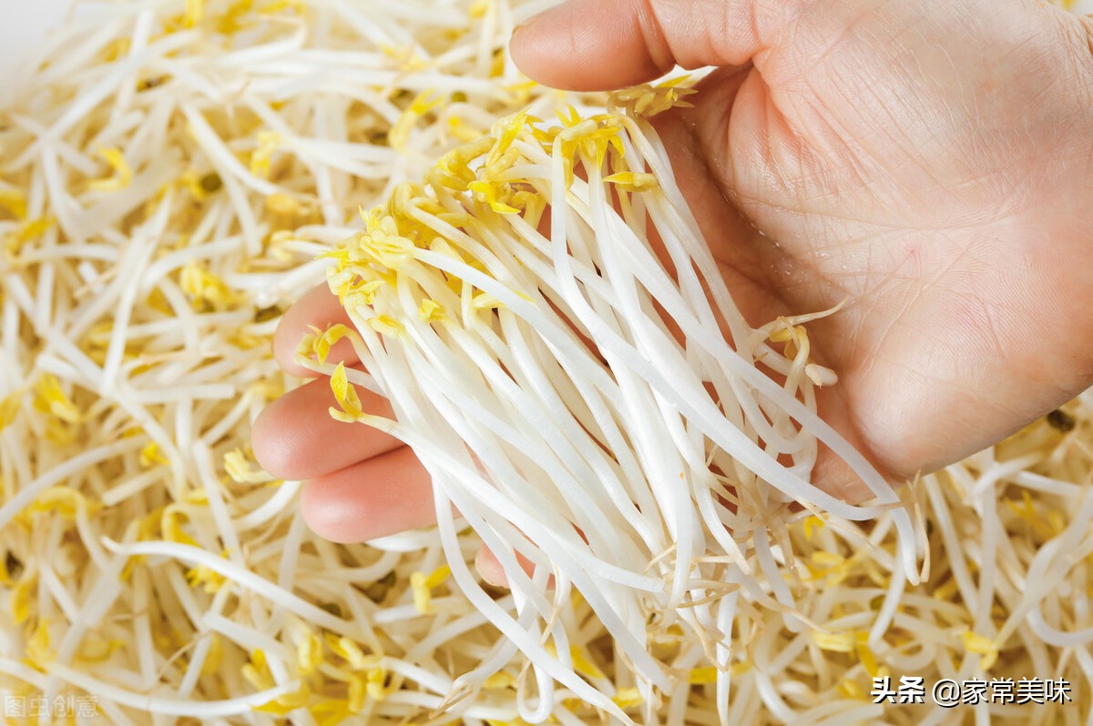 what-is-the-difference-between-soybean-sprouts-and-mung-bean-sprouts