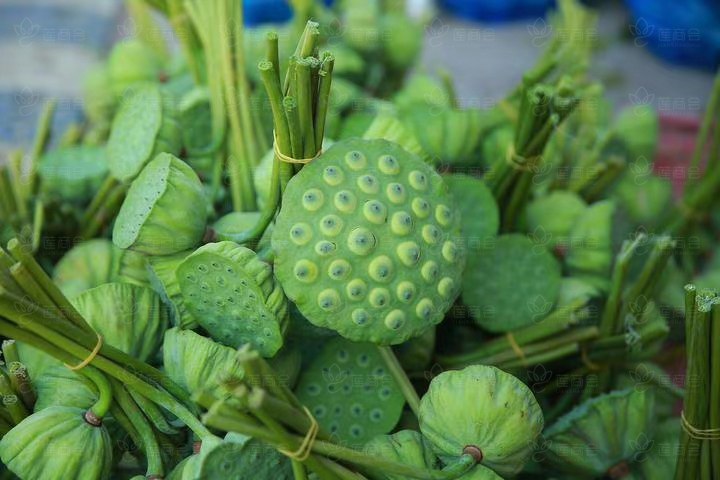 The Nutritional Value Of Lotus Seeds - Imedia