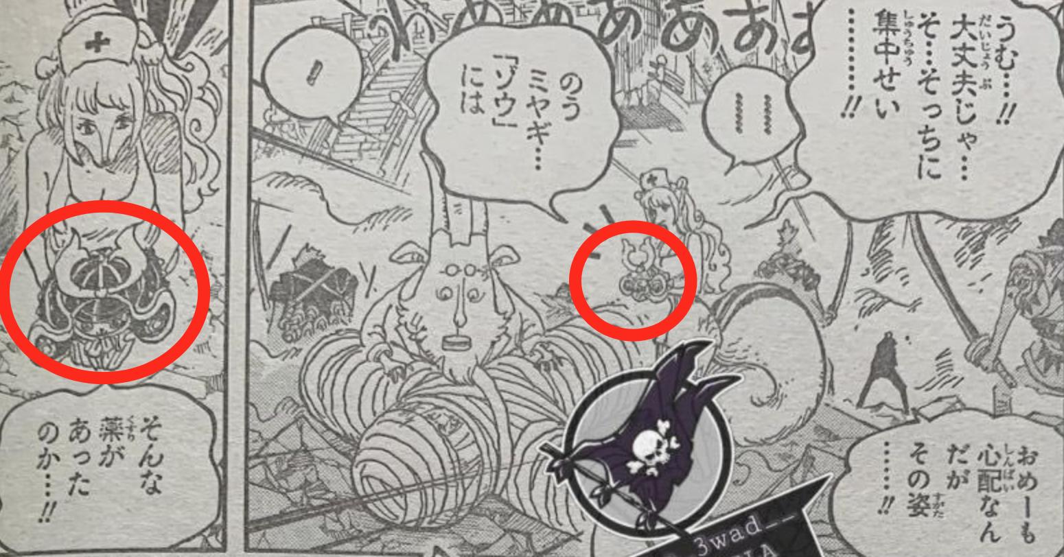 One Piece Chapter 1017 Quinn S Human And Animal Form Is Handsome And Exploded And Chopper Has Side Effects And Turns Into A Cute Baby Inews