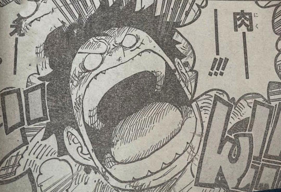 One Piece Chapter 1019 Sanji Easily Responds To Quinn S Attack Luffy And Sauron Are About To Return To The Battlefield Inews