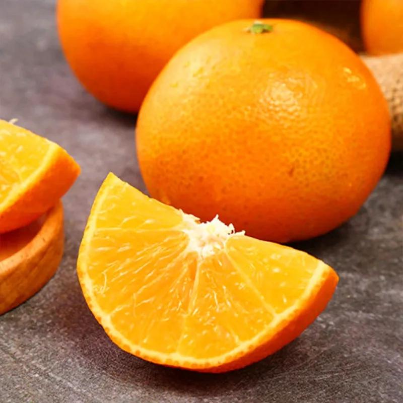 Ehime Jelly Orange that can be drunk directly, the flesh is full