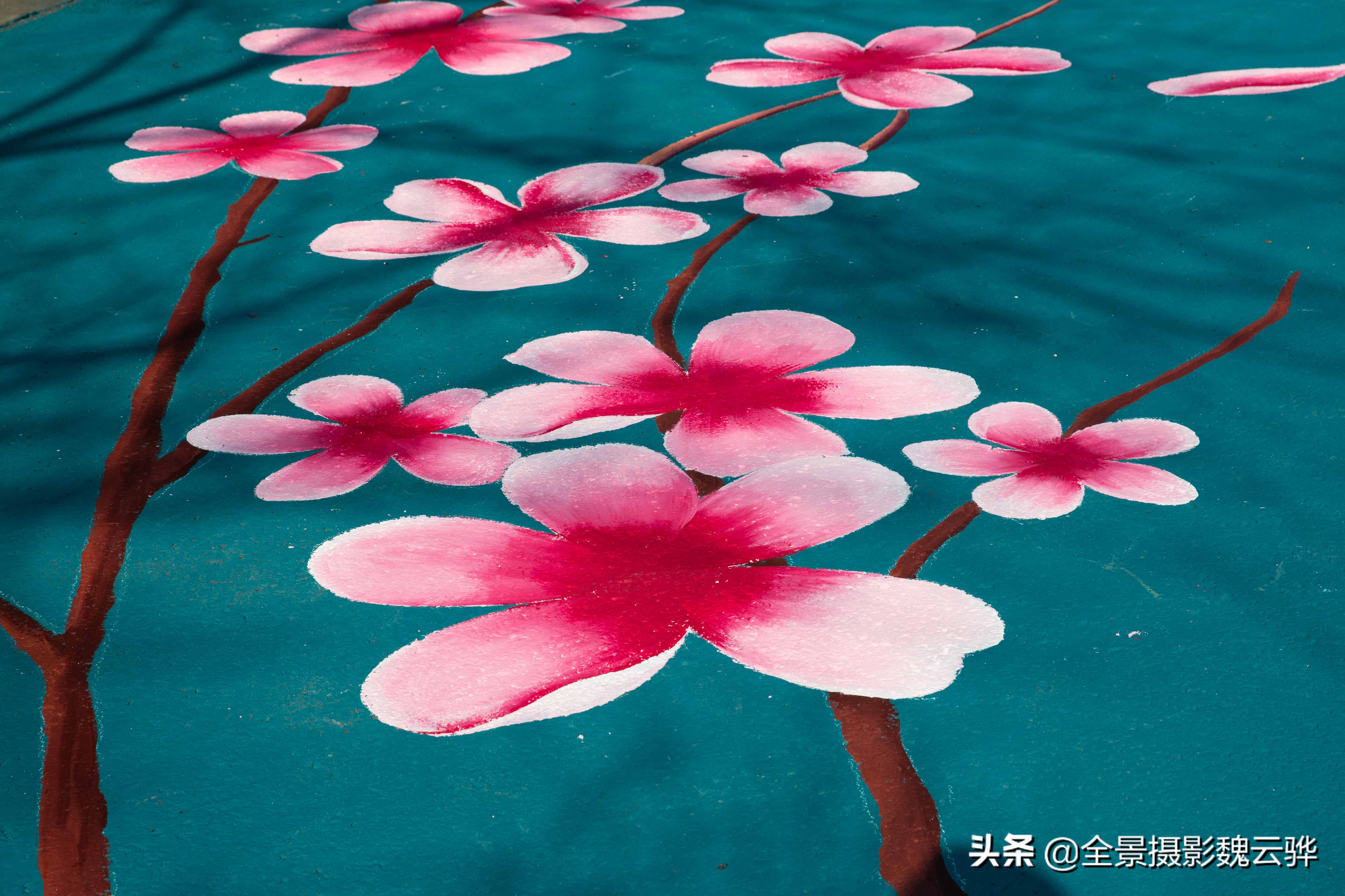 今天 无锡鼋头渚新建两条樱花步道 与樱花树相得益彰 画意满满 资讯咖