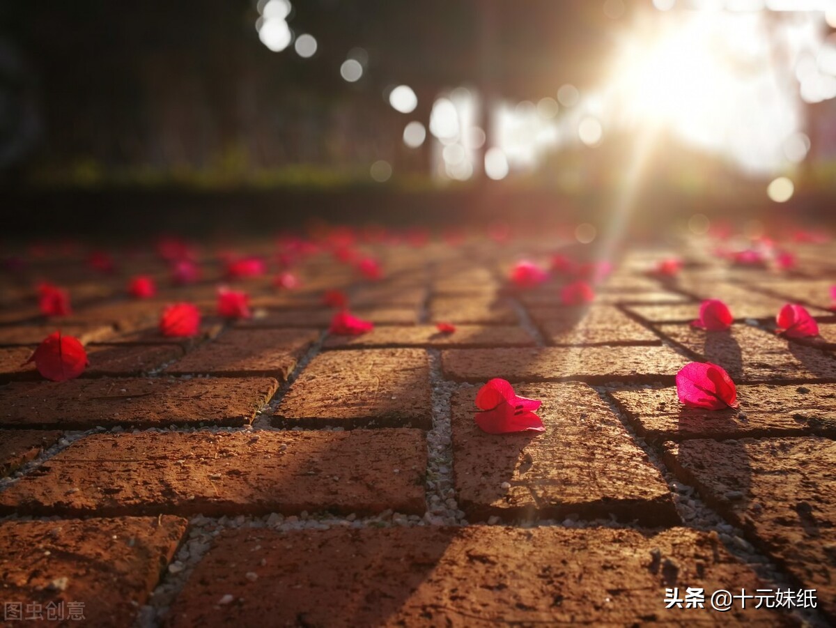 太温柔的人活得不好吗 详细介绍改善特征和性格的方法 Mp头条