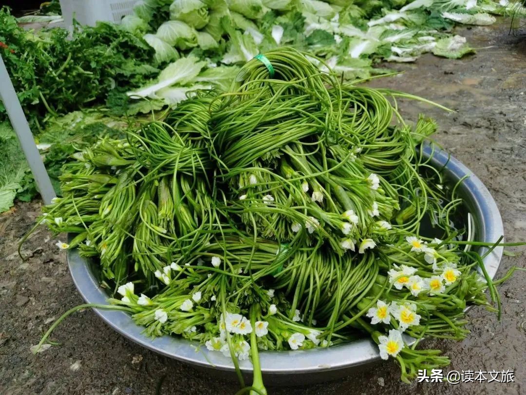 Sea cauliflower in Lugu Lake, yyds - iMedia