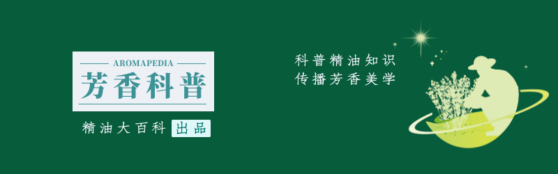 岩玫瑰精油 新人首单立减十元 2021年11月 淘宝海外