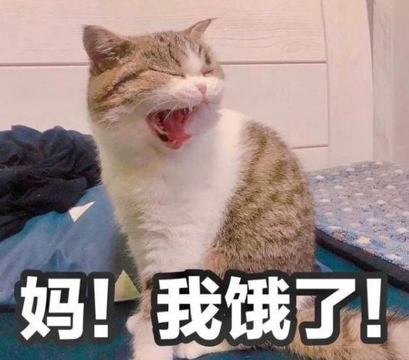 What are the advantages and disadvantages of keeping a cat at home?Must