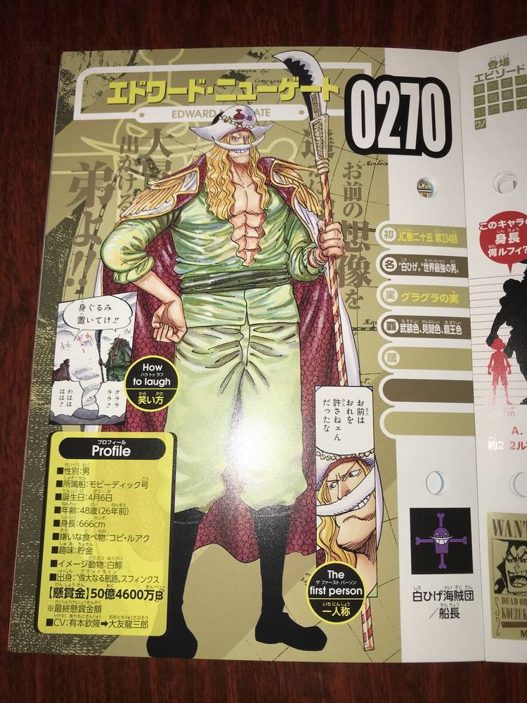 One Piece Life Card Update Blackbeard Is Not Overbearing And His Wife Is Confirmed To Be Dead When Guangyue Minnews