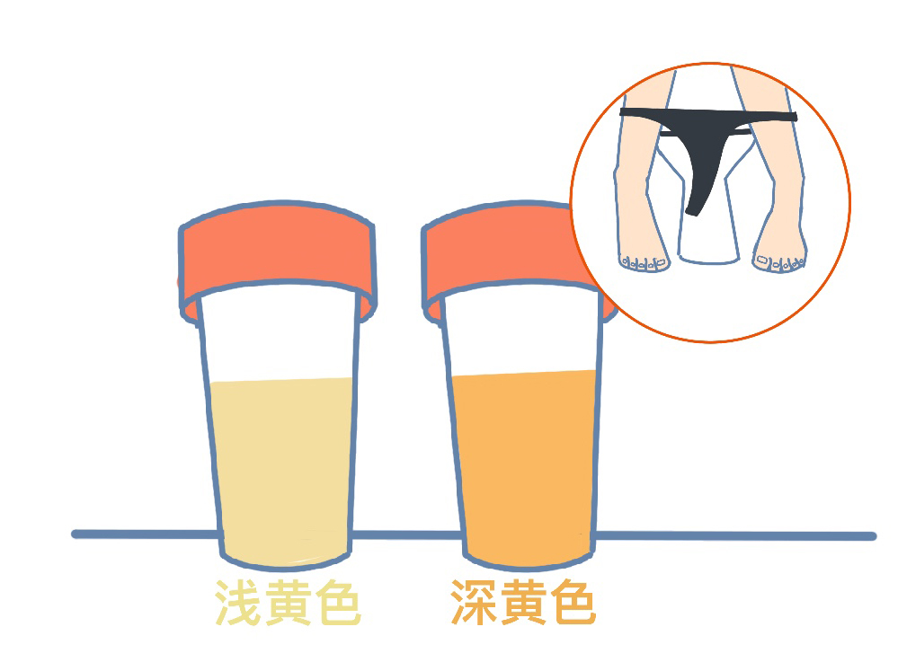 Don't wait until you're thirsty to drink water, teach you the correct