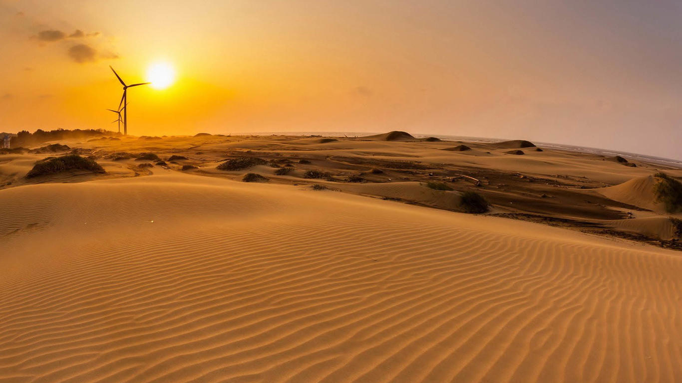 Since deserts can absorb a lot of carbon dioxide, why do we need to