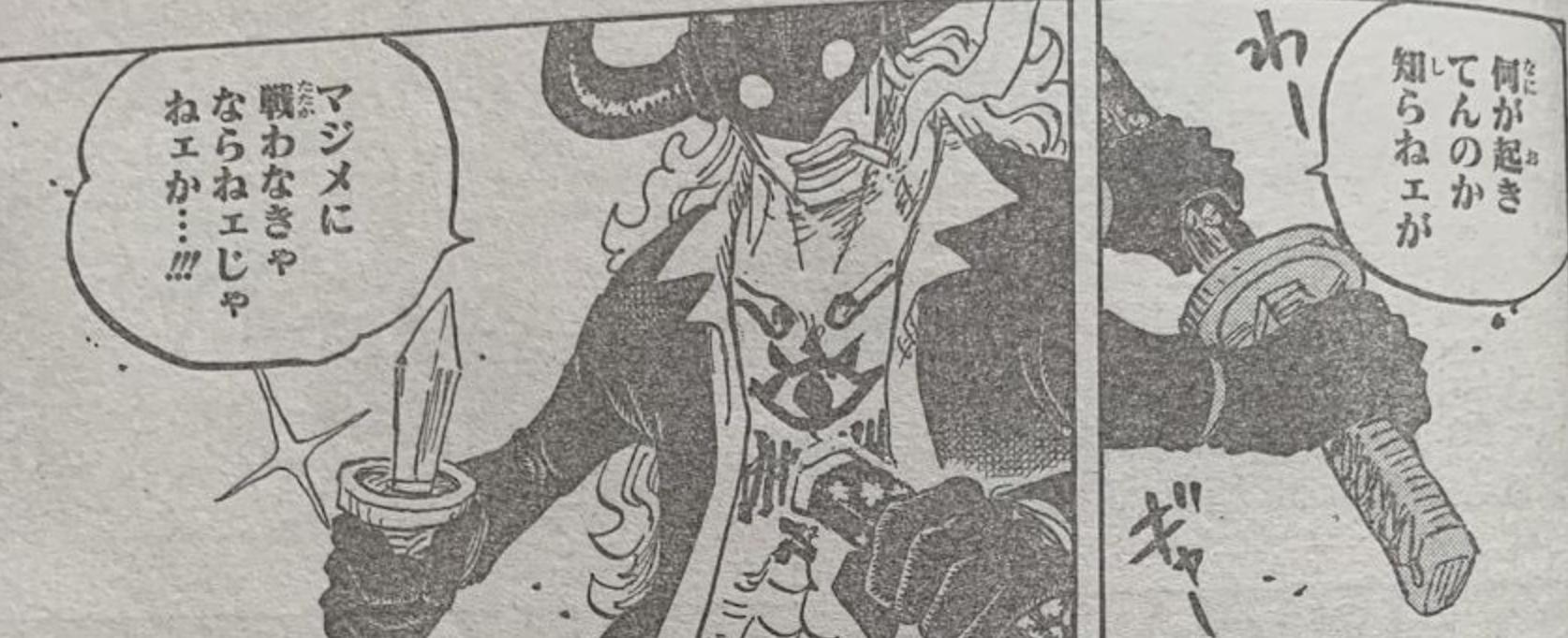 One Piece Chapter 1017 Quinn S Human And Animal Form Is Handsome And Exploded And Chopper Has Side Effects And Turns Into A Cute Baby Inews