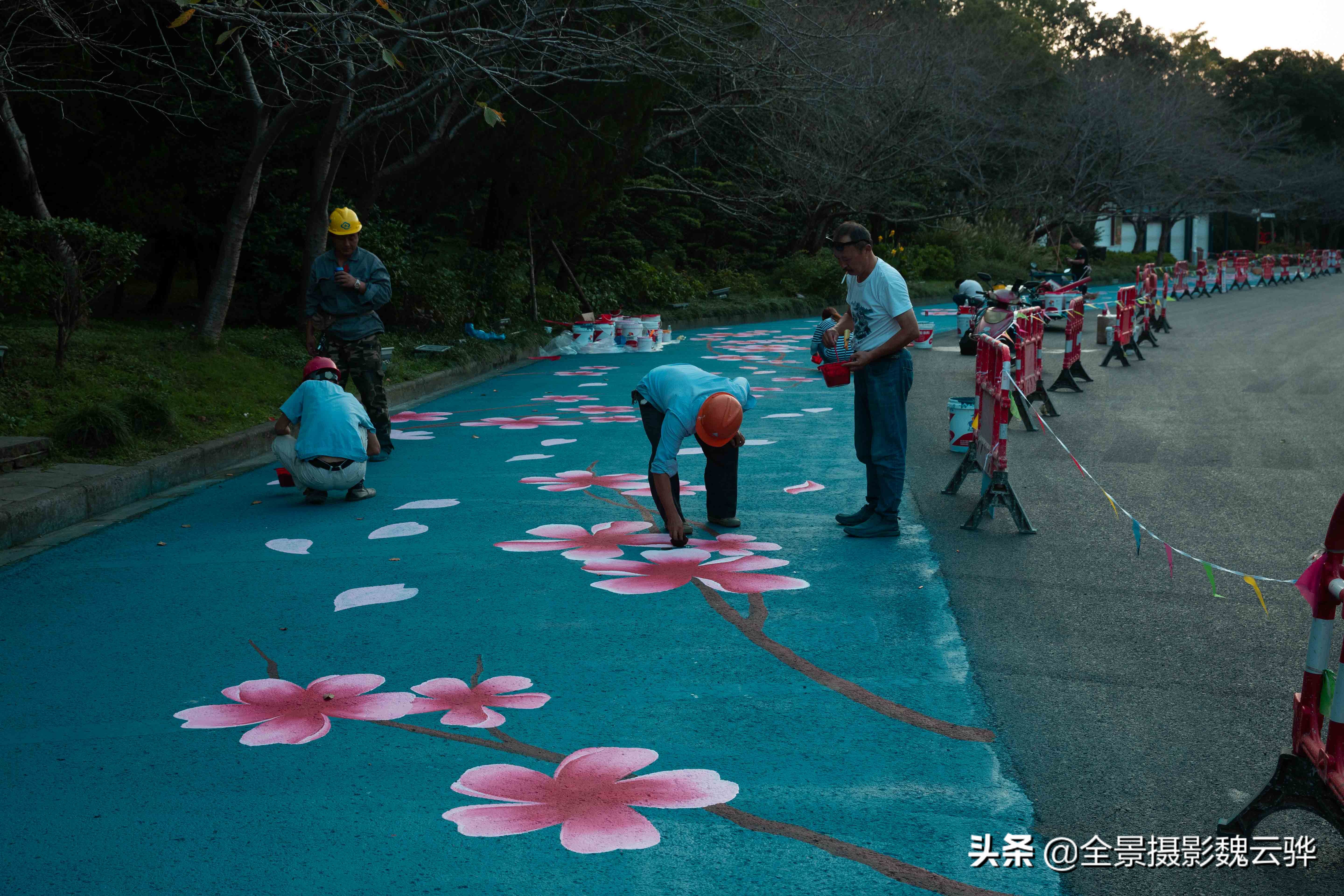 今天 无锡鼋头渚新建两条樱花步道 与樱花树相得益彰 画意满满 资讯咖