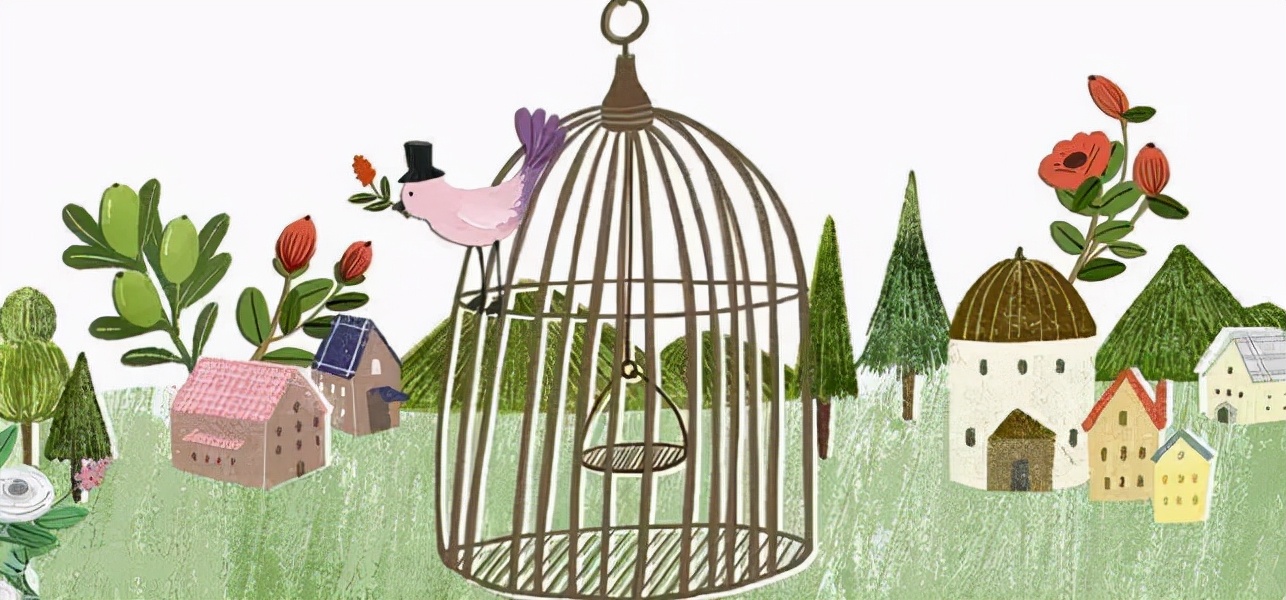 What is "birdcage logic"? iMedia