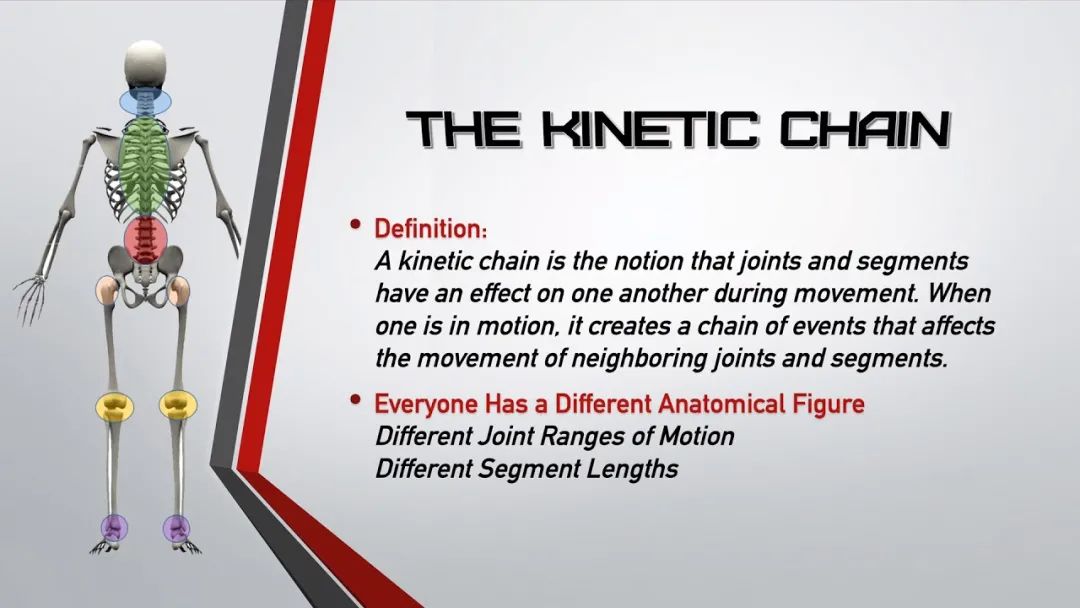 what-is-the-difference-between-open-chain-movement-and-closed-chain