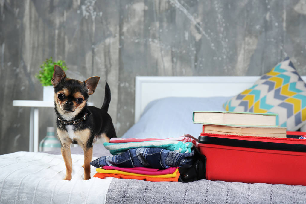 Can courier be consigned, and what courier can send pets? iMedia