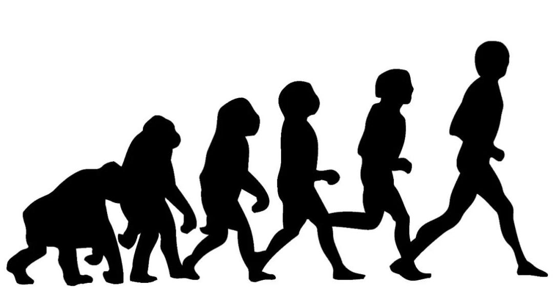 Monogamy invalidates natural selection and humans stop evolving?Research accelerating iNEWS