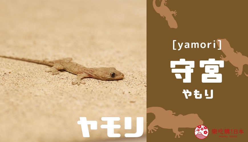 日文的 海月 居然是动物 4个中国人猜不到的日本动物汉字名 Mp头条