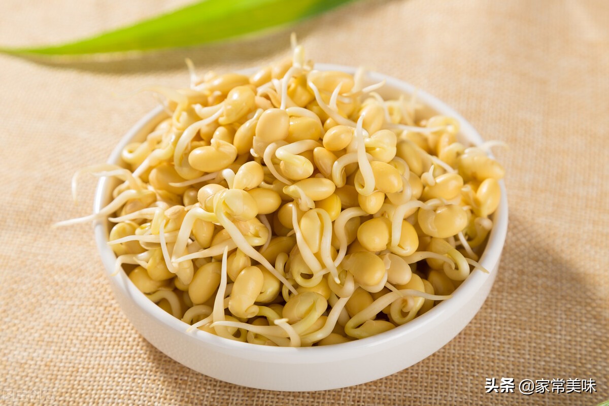 What is the difference between soybean sprouts and mung bean sprouts