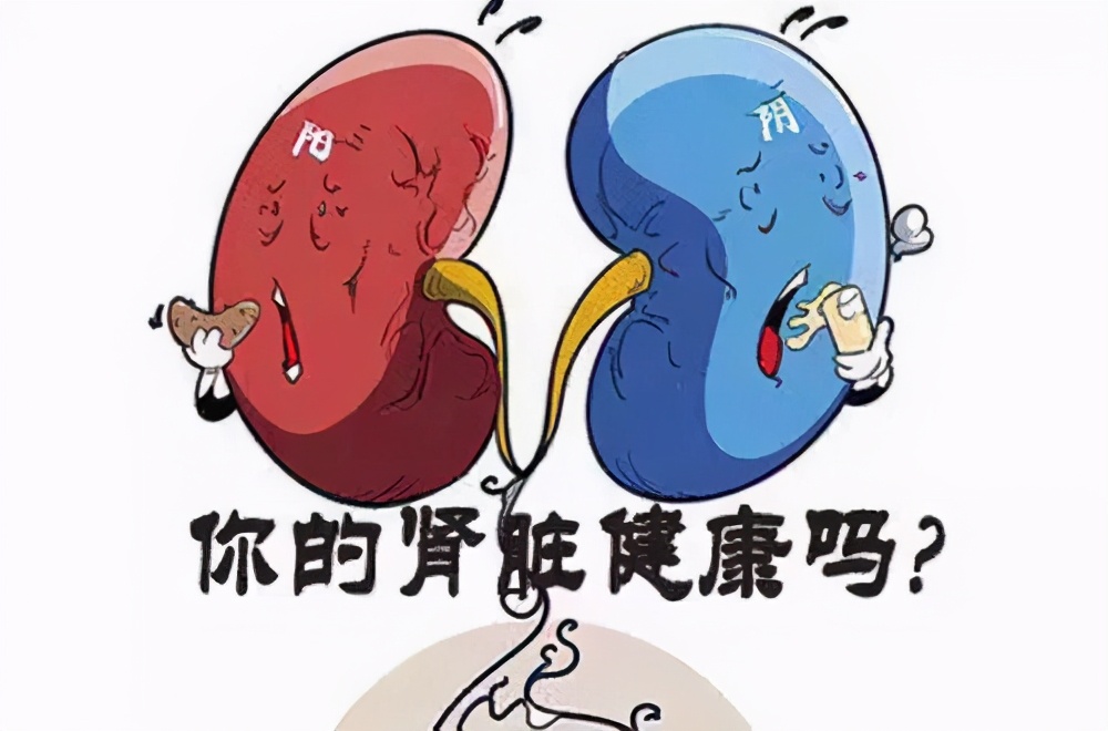 how-does-chinese-medicine-treat-kidney-disease-imedia