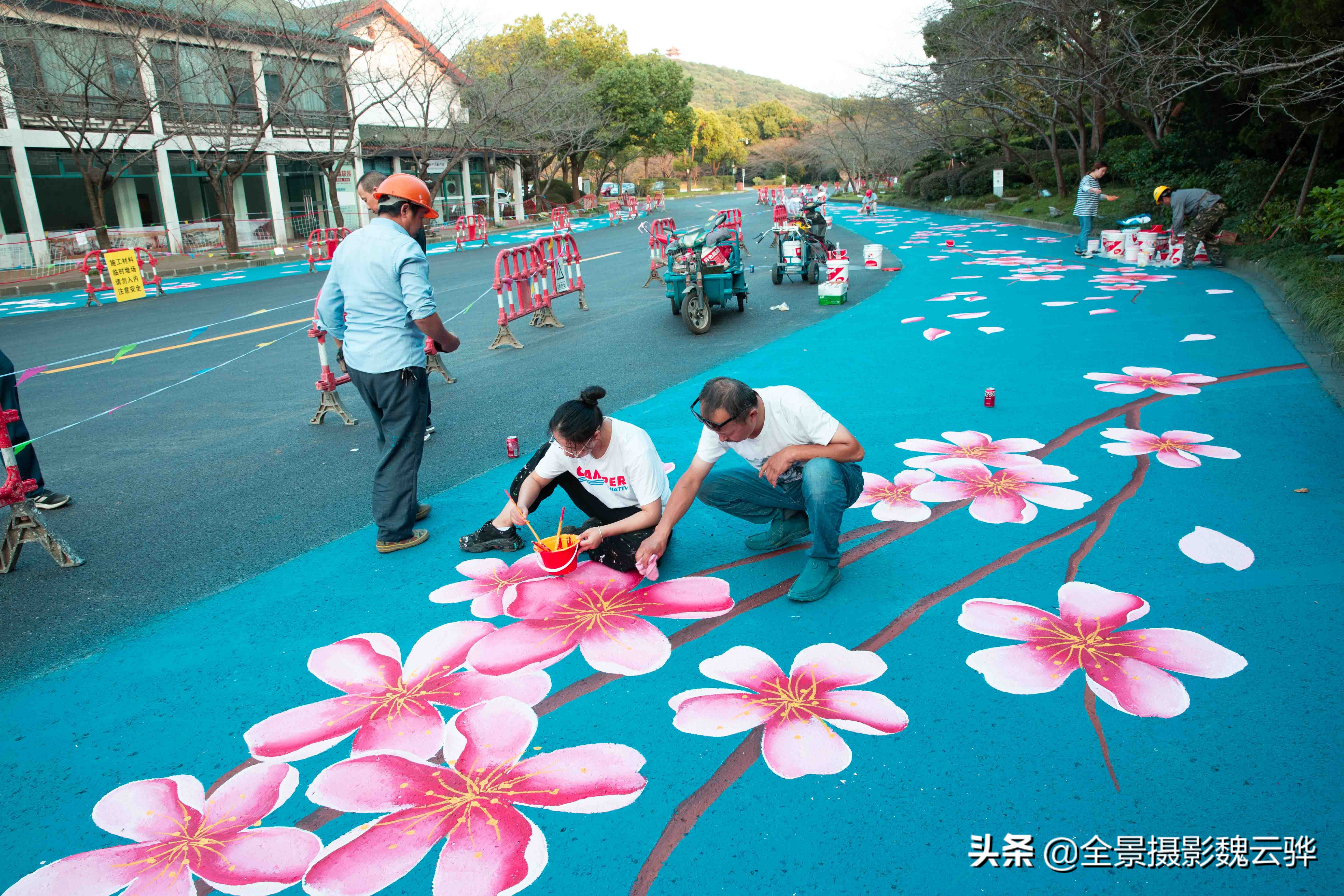 今天 无锡鼋头渚新建两条樱花步道 与樱花树相得益彰 画意满满 资讯咖