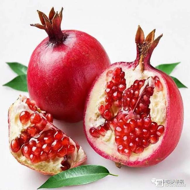 石榴皮为治痢摄精之妙品 并附异常口干口渴医案石榴子论 资讯咖 石榴皮为治痢摄精之妙品 并附异常口干口渴医案石榴子论 资讯咖