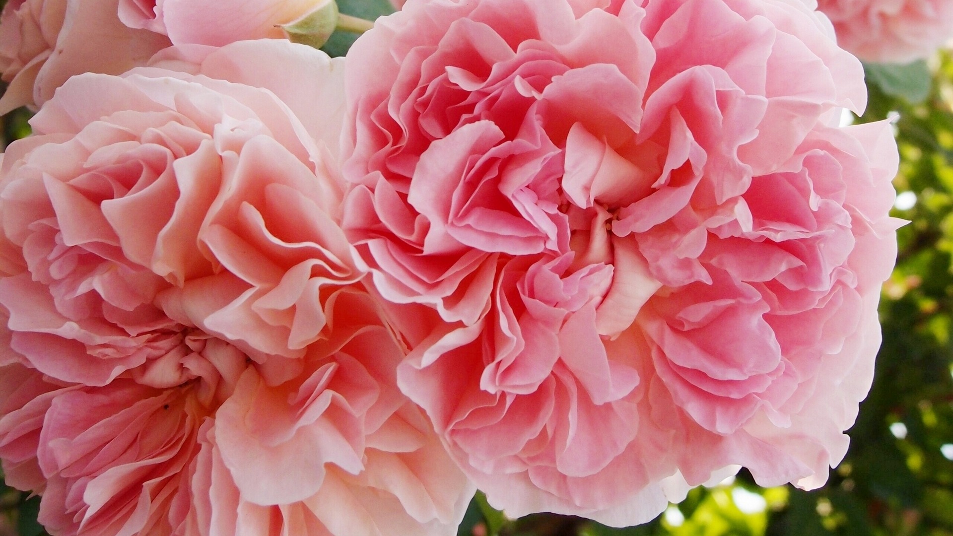 9月6日星座运势 白羊未雨绸缪 狮子游刃有余 射手另眼相看 资讯咖