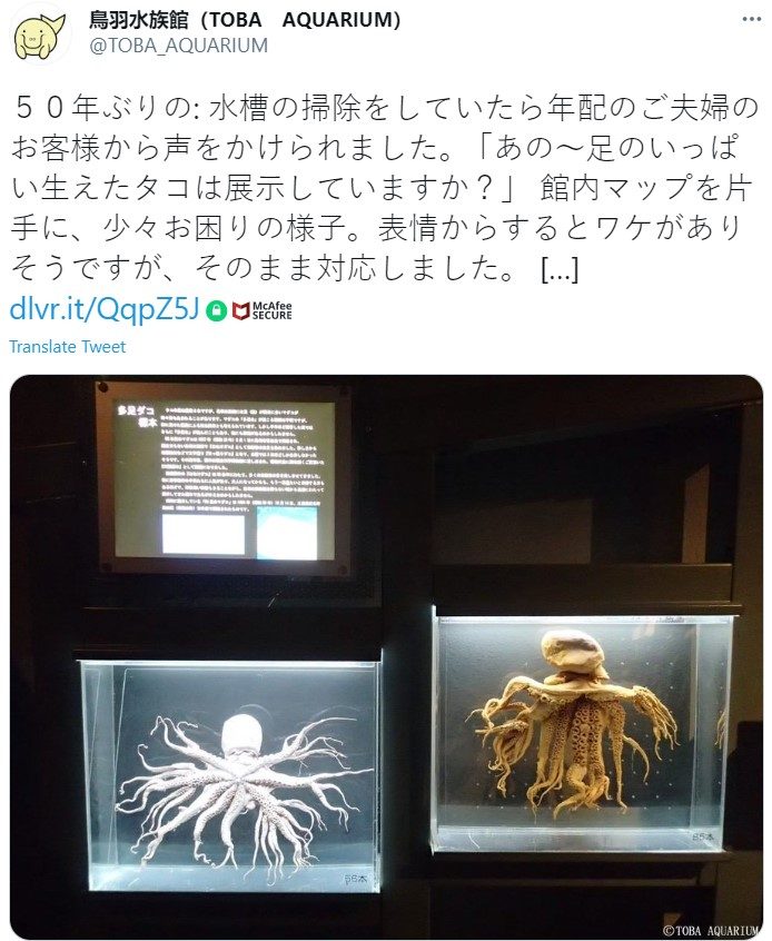 The Strange Fish Caught In Sacheon Area Fishermen Are Surprised I Have Never Seen Such A Monster In My Life Inews