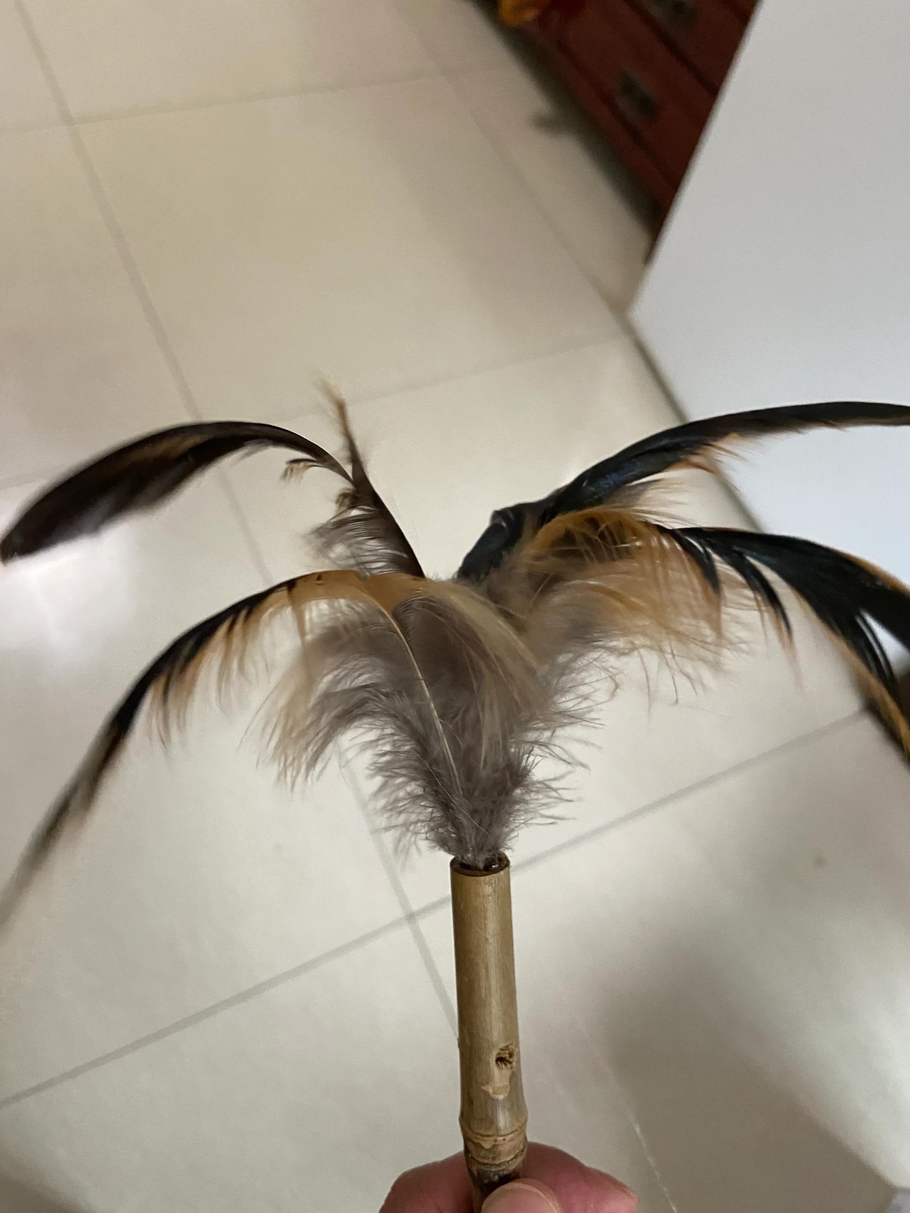 Duster Homemade Homemade Feather Duster - iMedia