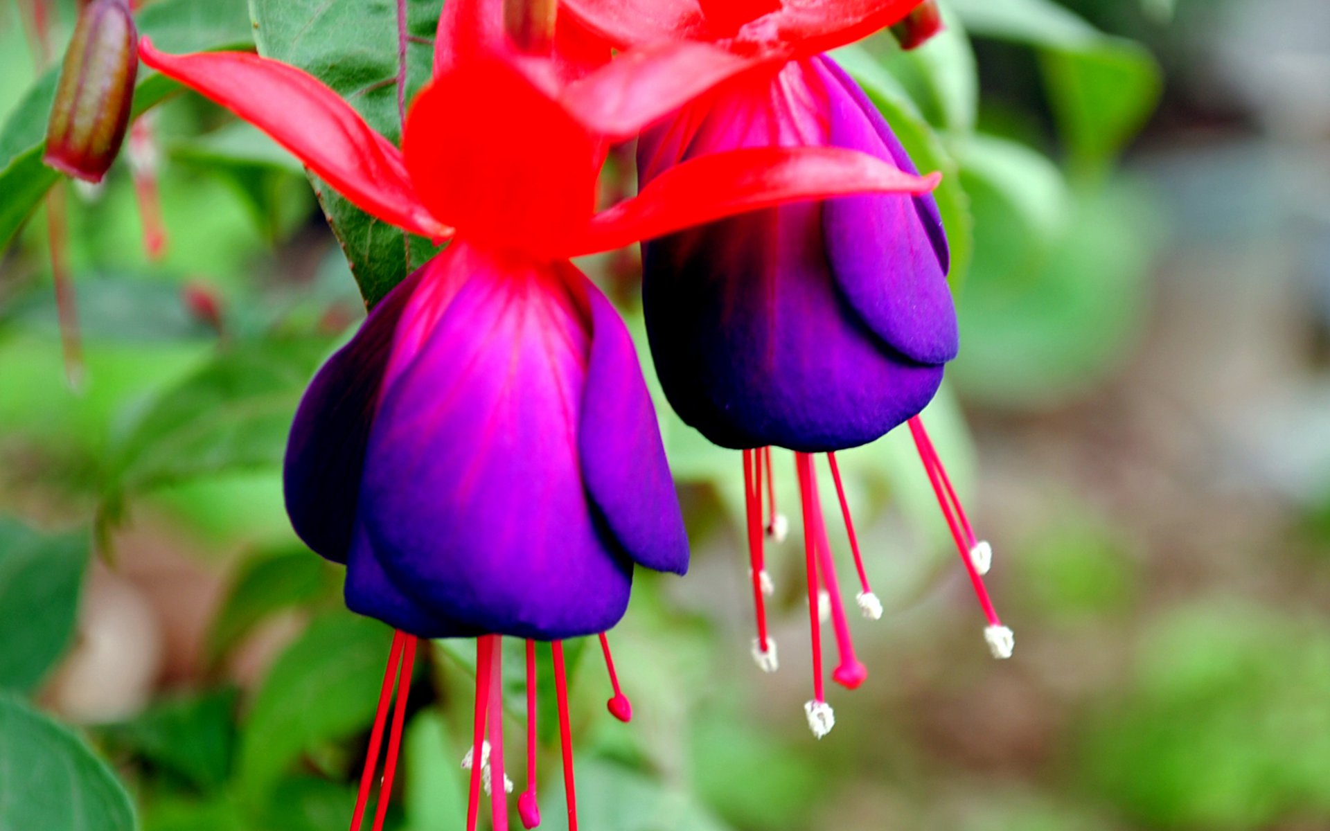 10月6日星座运势 机会难得 重燃斗志的四大星座 资讯咖