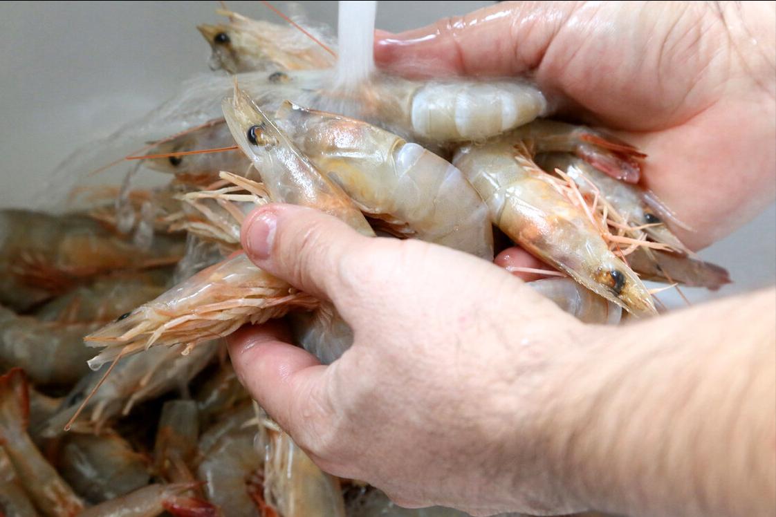 How to preserve fresh prawns?Don't put it in the refrigerator directly