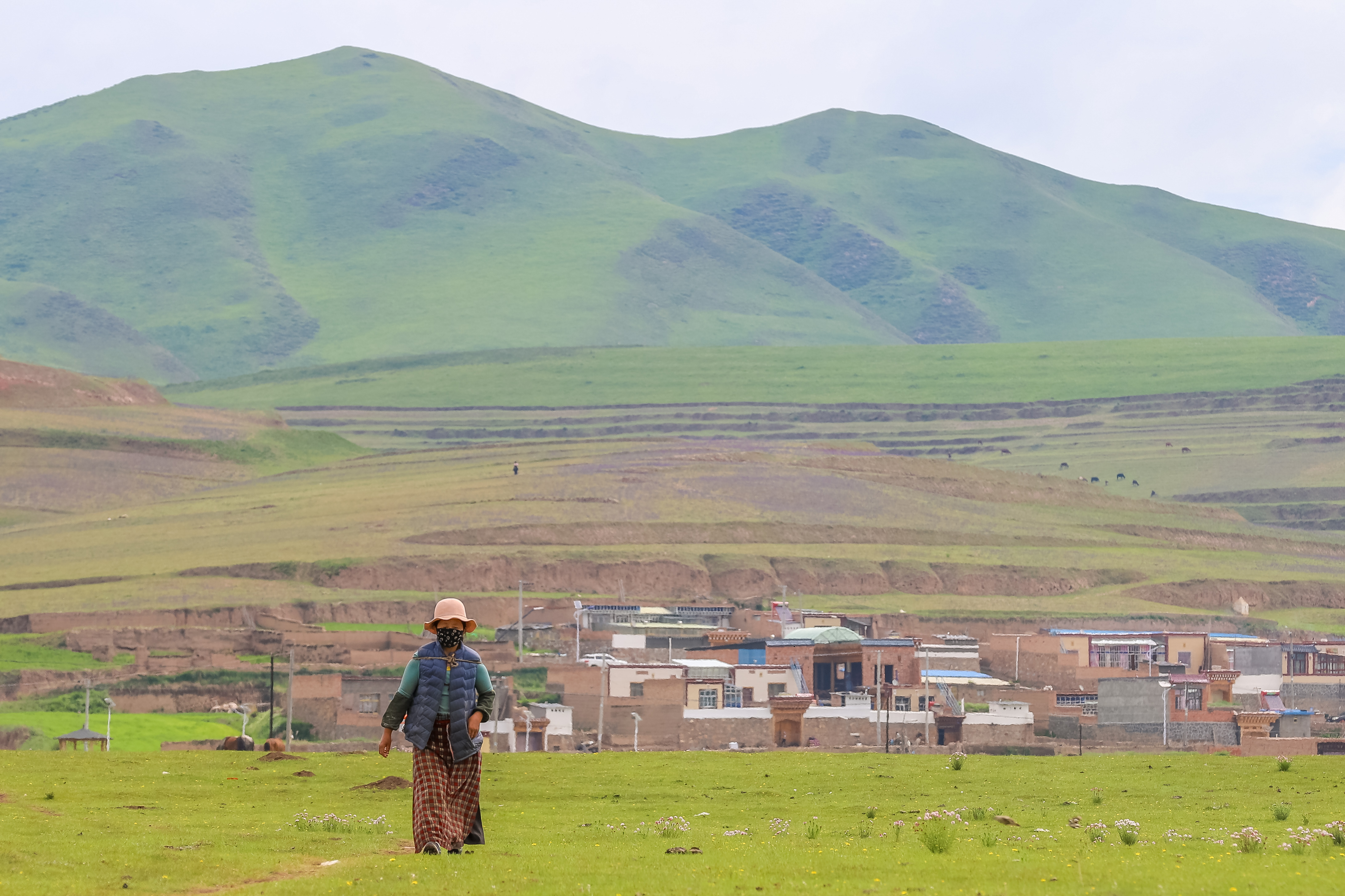 Gannan Zhaga is a small scenic spot, the grassy Guomang Wetland, the ...