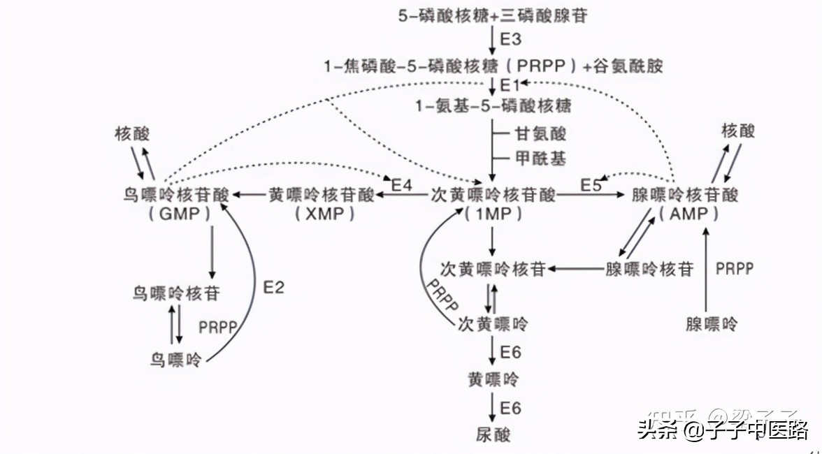 Gout patients "don't punish the nine groups of soybeans" moderate