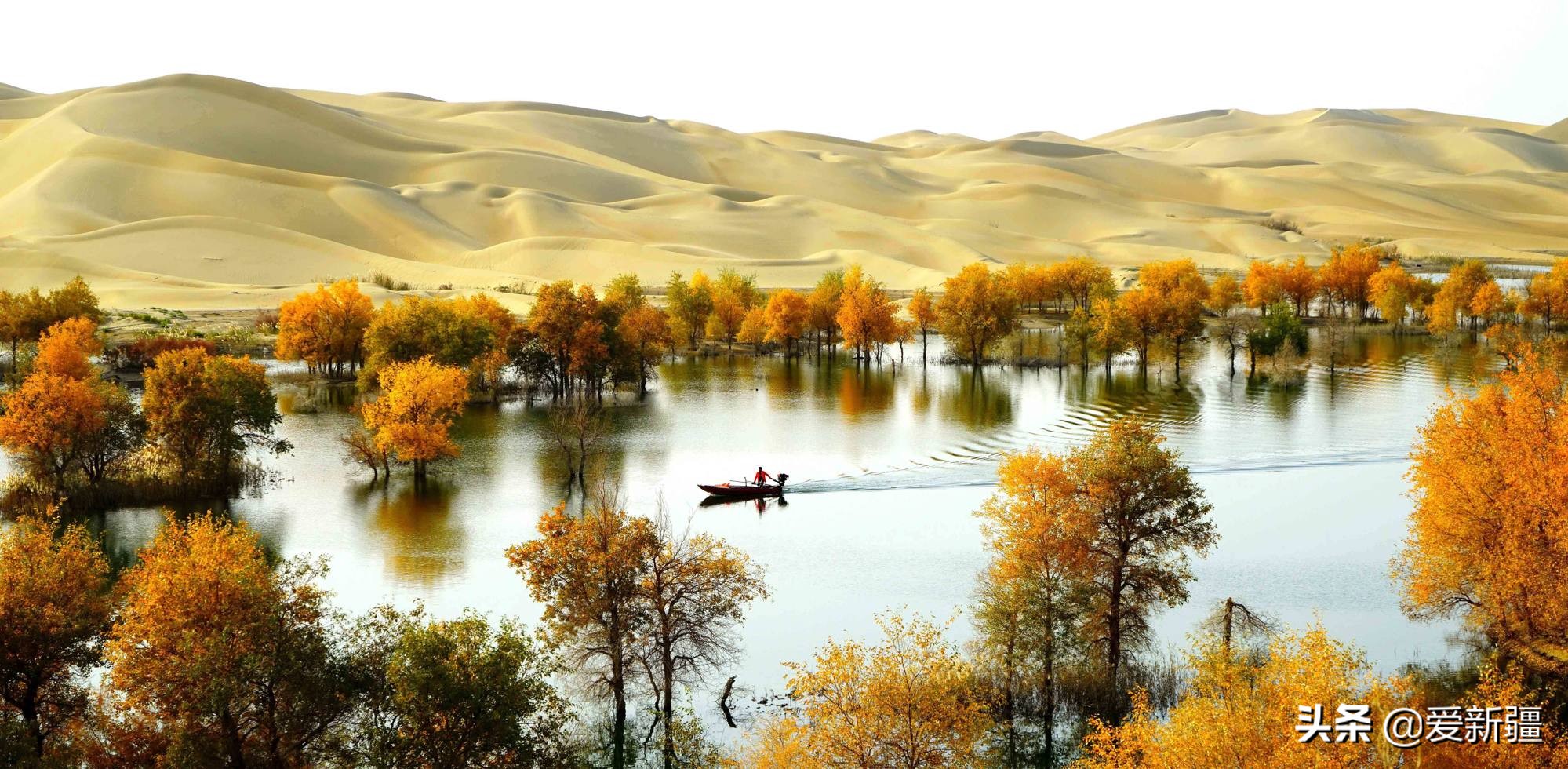 Tarim River, the river in my second hometown - iMedia